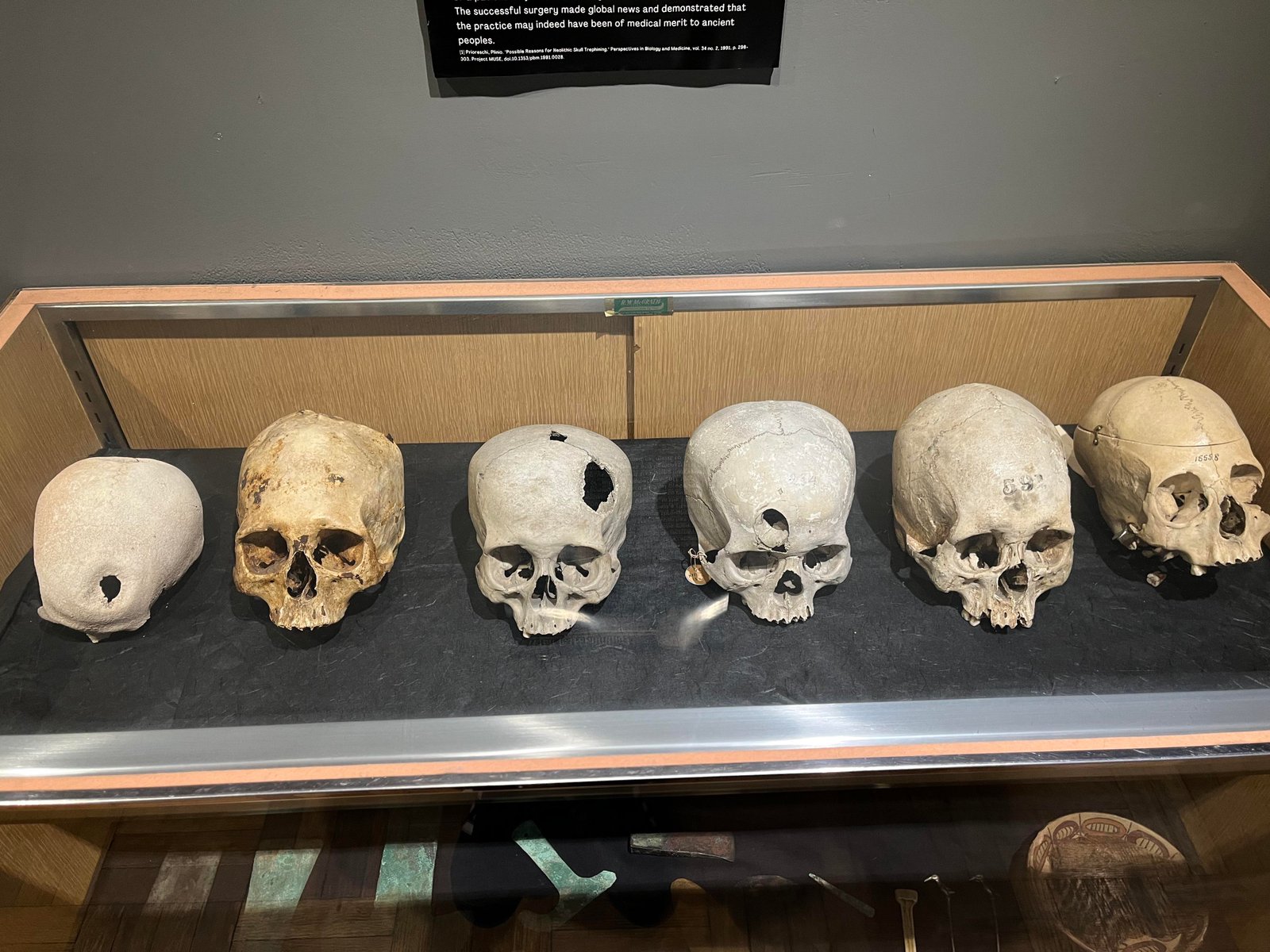 The International Museum of Surgical Science