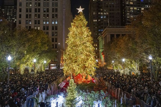 Millennium Park's Christmas Tree