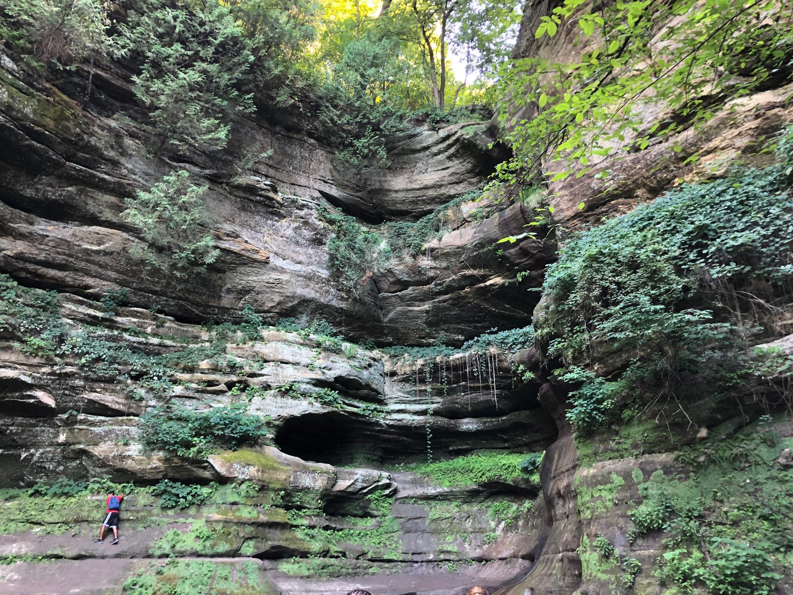 Starved Rock Canyons